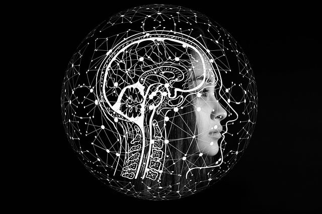 Are jigsaw puzzles good for your brain?